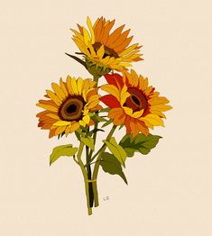 a bunch of sunflowers that are on a white background with green stems and leaves