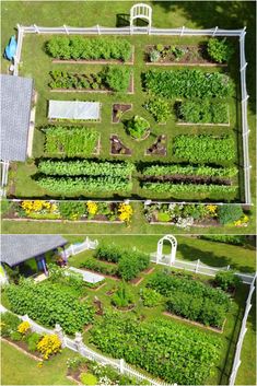 an aerial view of a garden with many different types of plants and trees in it