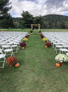 rows of chairs with flowers and pumpkins on them