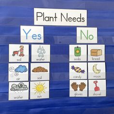 a blue bulletin board with different types of plants and animals on it that says plant needs yes no