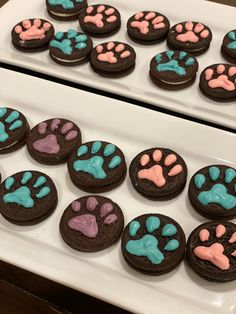 chocolate cupcakes decorated with pink, blue and green paw prints on white plates