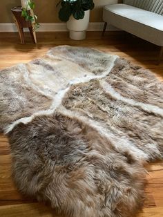 a living room with wood floors and a large rug on the floor next to a couch