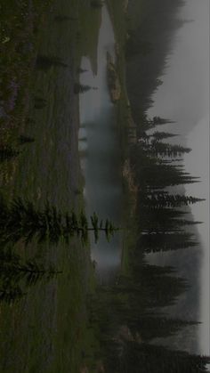 an image of fog over the water and trees