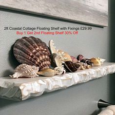 several seashells are sitting on a ledge in the bathroom