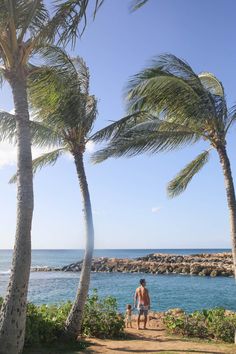 a man and his dog walking down a path between two palm trees near the ocean