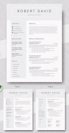 the professional resume template is ready to be used for any job