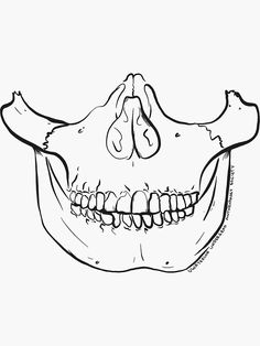 a black and white drawing of an animal's skull with its teeth missing from it