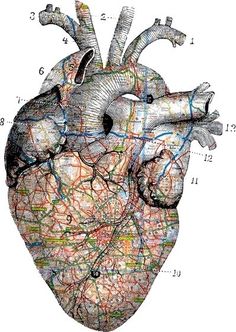 a diagram of the human heart with roads