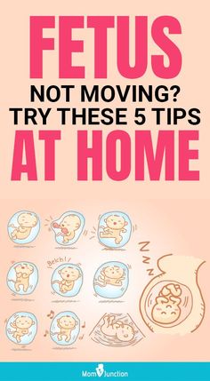 Feeling Baby Move, Pregnancy Care Tips, Baby Kicking, Breastmilk Supply, Pregnancy Information, Mom Junction, Health Care Tips