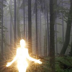 a person standing in the middle of a forest with their arms spread out and glowing