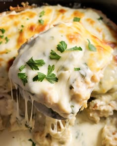 a spoon full of chicken and cheese casserole with parsley on it's side