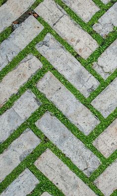 overgrowth herringbone masonry living wall wallpaper mural Nature Mural, Grass Pavers, Free Wallpaper Samples, Paver Patterns, Permeable Paving, Permeable Pavers, Geometric Nature, Grass Pattern, Flagstone Patio