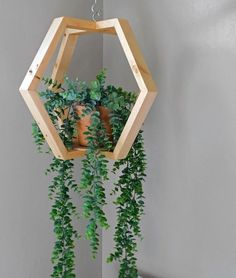 a wooden hanging planter with green plants in it's center and an open hexagonal frame on the wall