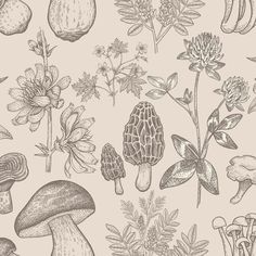 a drawing of mushrooms and flowers on a beige background