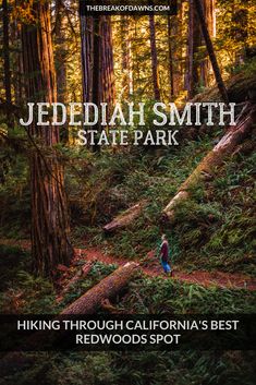 a person walking through the woods with trees in the background and text that reads, hiking through california's best redwoods spot