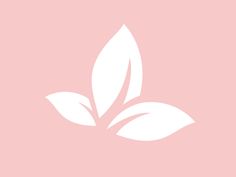 a white leaf on a pink background