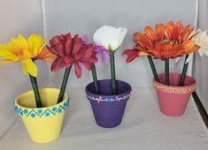 three flower pots with flowers in them on a table