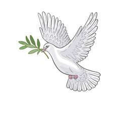 a white dove flying with a green twig in its beak