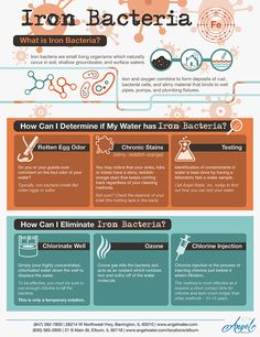 an info sheet describing how to use iron bacteria