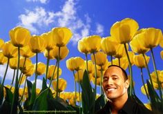 a man standing in front of yellow flowers with a blue sky behind him and white clouds