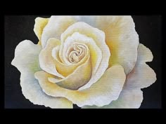 a painting of a white rose on a black background with the word love written below it