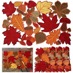 an assortment of autumn leaves on white background and in different stages of being cut out