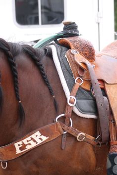 a close up of a horse wearing a saddle