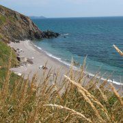 the beach is surrounded by tall grass and blue water