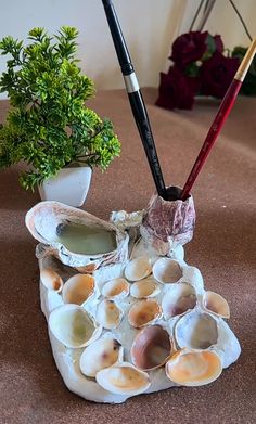 an arrangement of seashells and paintbrushes on a table next to a potted plant