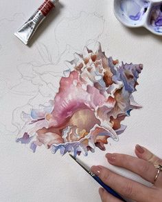 a person is painting some seashells on a piece of paper with watercolor pencils