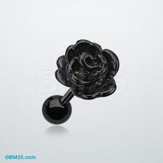 a black rose is shown on a white background