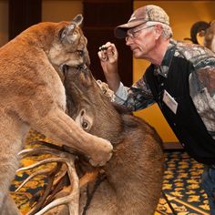 a man is feeding a deer with antlers