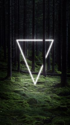 a glowing triangle in the middle of a forest