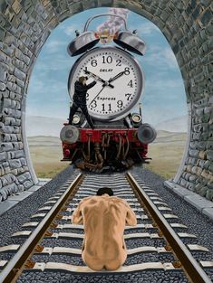 a dog laying on the tracks in front of a train with a clock above it