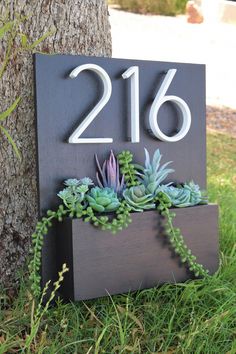 a house number sign with succulents in it