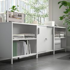 a white bookcase sitting next to a potted plant