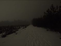 a snowy road with trees and bushes on the side in the distance, at night