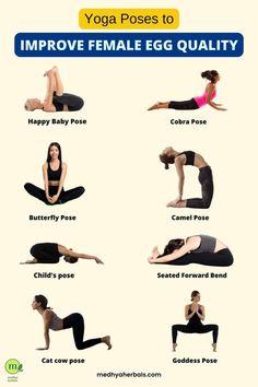 yoga poses to improve female egg quality in the morning and evening, with instructions for beginners