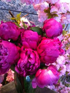 a vase filled with pink flowers on top of a table