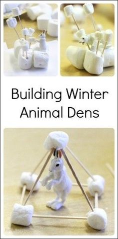 the instructions for building winter animal dens with marshmallows and marshmallow sticks