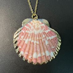 Gold Plated Natural White Red Sector Shell Pendant Necklace: Straight From The Ocean! The Only Shell With Its Markings. The Gold Tone Chain Is Approximately 21 Inches. The Necklace Has A Lobster Clasp. It Comes Gift Wrapped And Was Handmade By Me. This Is A New, Never Worn Necklace. Handmade Red Shell Necklace Gift, Handmade Red Shell Necklace For Gift, Multicolor Shell Necklace For Gift, Handmade Pink Shell Necklace For Gift, Multicolor Shell-shaped Necklace For Gift, Necklace Shell, Caged Necklace, Skull Pendant Necklace, Golden Necklace