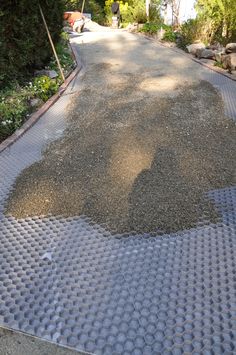 a paved road with trees and bushes in the background