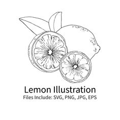 the lemon illustration is shown in black and white