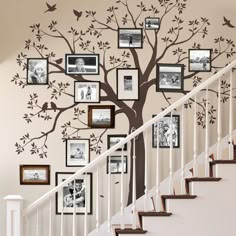 a tree with pictures on it and stairs in front of the bannister wall