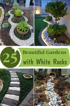 beautiful garden with white rocks and plants in the center, along with text overlay that reads 25 beautiful gardens with white rocks