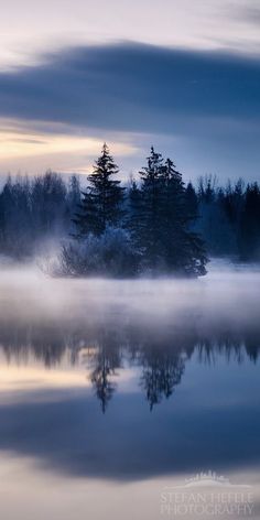 a foggy lake with trees in the distance and some clouds hanging over it's surface