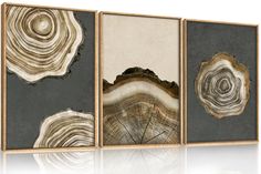 three pieces of wood are displayed on the wall