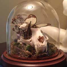 a fake skull under a glass dome with flowers and plants in it on a table