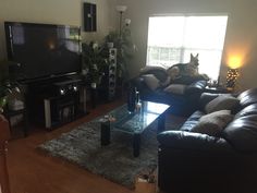 a living room with couches, coffee table and television