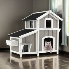 a cat is sitting in the dog house